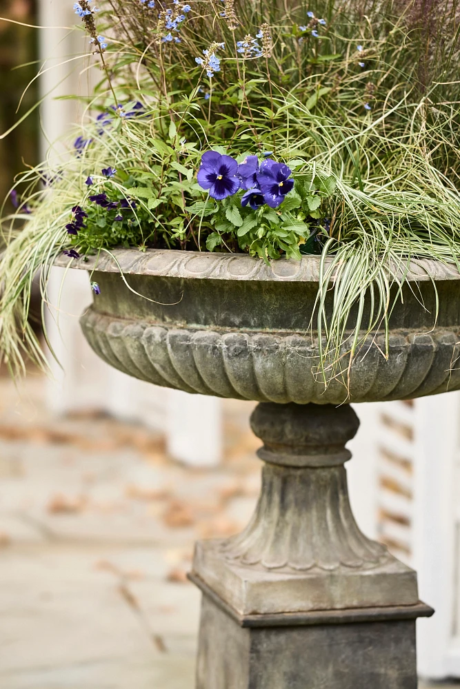 Cast Iron Urn Planter