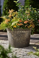 Rivet Rim Galvanized Taper Planter