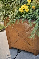 Iron Hexagon Planter