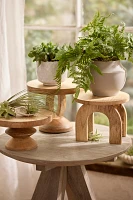 Natural Wood Plant Stand