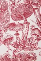 Fungi Forest Wallpaper