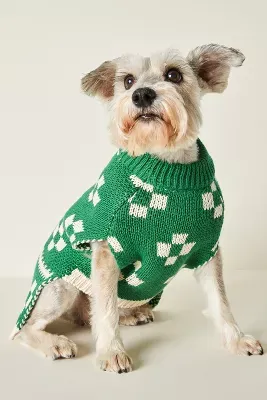 Little Beast Lucky Floral x Memorial Day Dog Sweater
