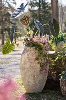 Barnacle Water Jar Planter