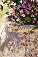 Barnacle Water Jar Planter