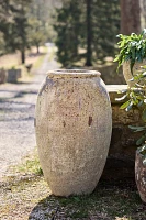 Barnacle Water Jar Planter