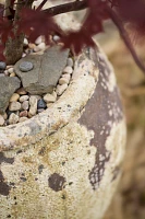 Barnacle Water Jar Planter