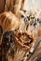 Dried Palm, Protea, Queen Anne's Lace Bouquet