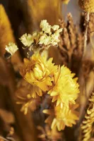 Preserved Phalaris, Pampas Grass + Strawflower Bouquet