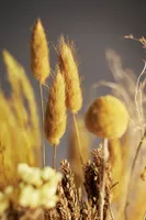 Preserved Phalaris, Pampas Grass + Strawflower Bouquet