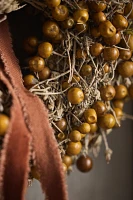 Dried Twoleaf Nightshade Wreath