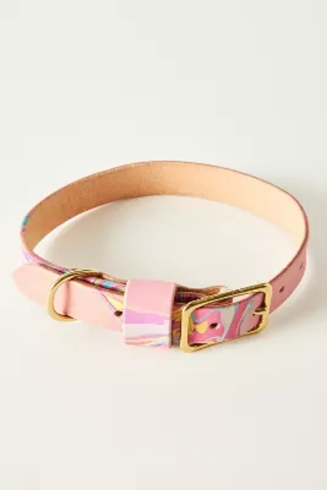 Glad & Young Studio Pet Collar