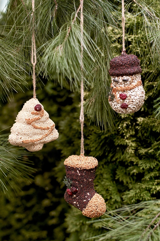 Bird Seed Festive Ornaments, Set of 3