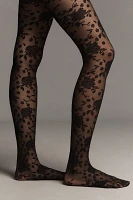 Lace Rosette Tulle Tights