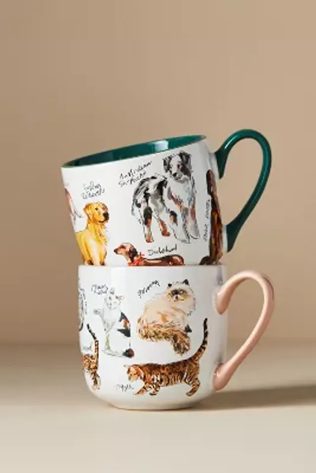 Animal Menagerie Stationery Kit — Mr. Boddington's Studio