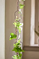 Chain Trellis