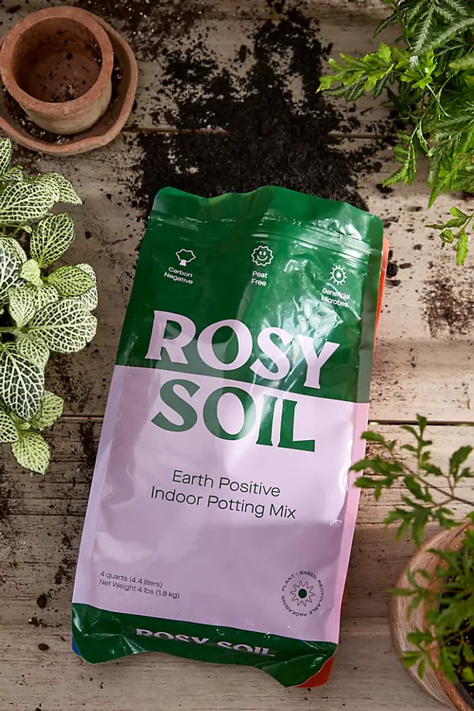 Rosy Soil Earth Positive Indoor Potting Mix