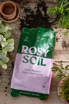 Rosy Soil Earth Positive Indoor Potting Mix