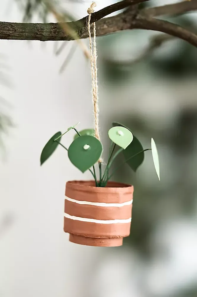 Pilea Ornament