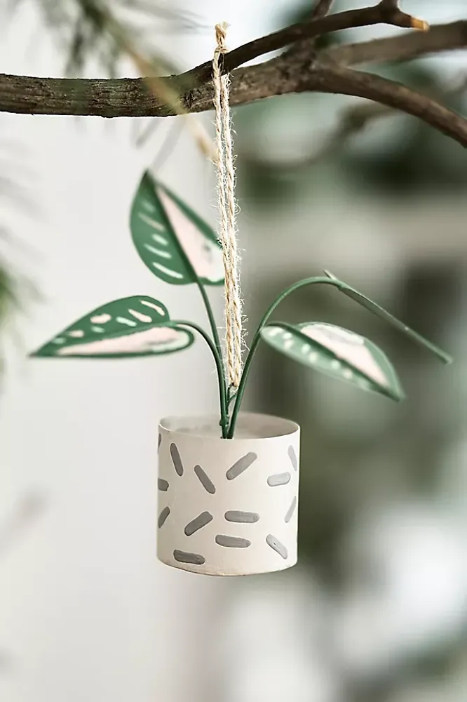 Philodendron Ornament