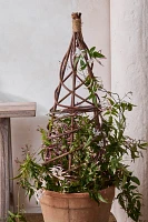 Woven Willow Mini Garden Obelisk