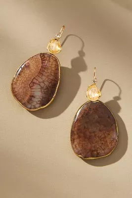 Southwestern Agate Fishhook Earrings