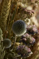 Painted Desert Preserved Bouquet