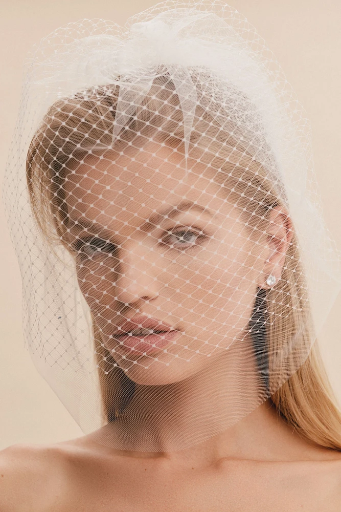 Twigs & Honey Double-Layer Birdcage Veil