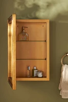 Erin Gates x Cooper Classics Abbott Medicine Cabinet