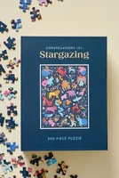 Constellations 101: Stargazing Puzzle