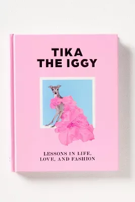 Tika the Iggy