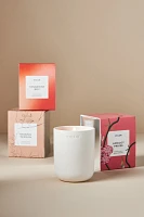 Phlur Tangerine Boy Boxed Candle