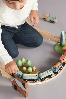 Tender Leaf Toys Train Set