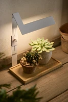 LED Rectangle Grow Light