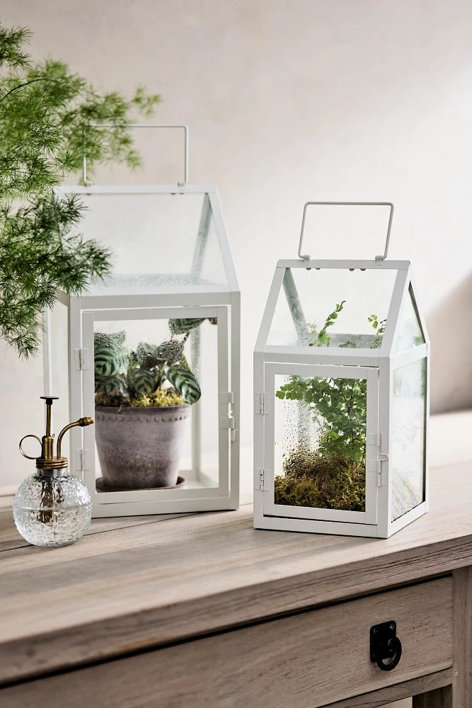 Iron + Glass Square Greenhouse