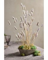 Dried Bunny Tails Bunch