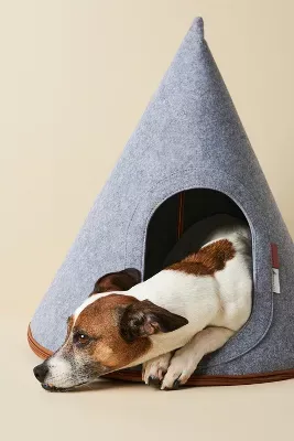 Nooee Pet Lucy Pet Cave