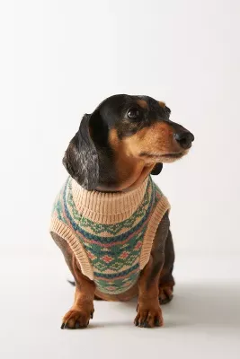 Nooee Pet x Demylee Jacquard Sweater