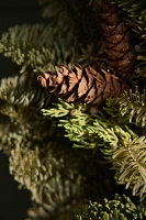 Fresh Noble Fir + Juniper Wreath