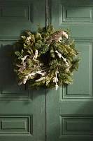 Fresh Lamb’s Ear + Fir Greenery Collection