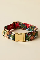 The Foggy Dog Holiday Collar