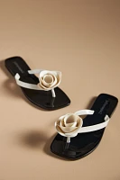 Jeffrey Campbell 3D Flower Thong Sandals