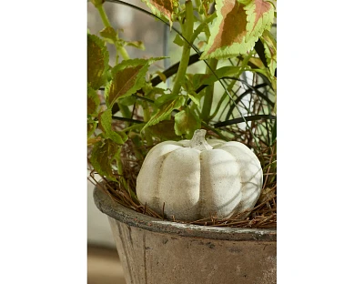 Cast Concrete Pumpkin