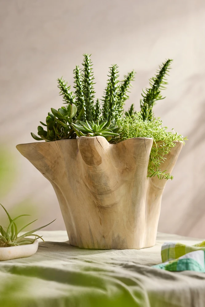 Teak Root Ruffled Bowl Planter