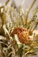 Dried Autumn Banksia Bunch