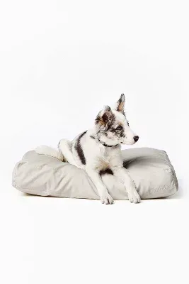 Fable Pets Signature Bed