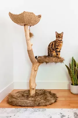 Mau Pet Uni Cat Tree