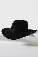 San Diego Hat Co. Suede Fedora