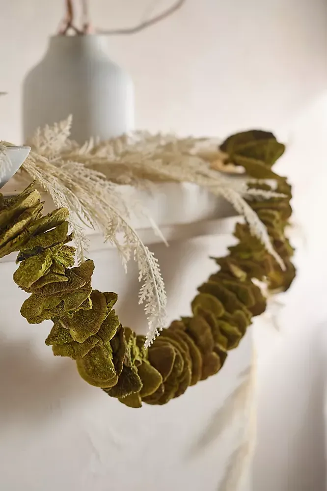 Dried Shelf Mushroom Garland