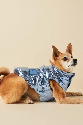Maxbone Holographic Dog Puffer Vest
