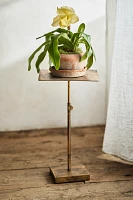 Adjustable Iron Plant Stand